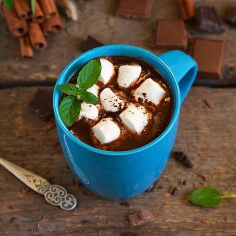Wild Peppermint Hot Chocolate Bundle